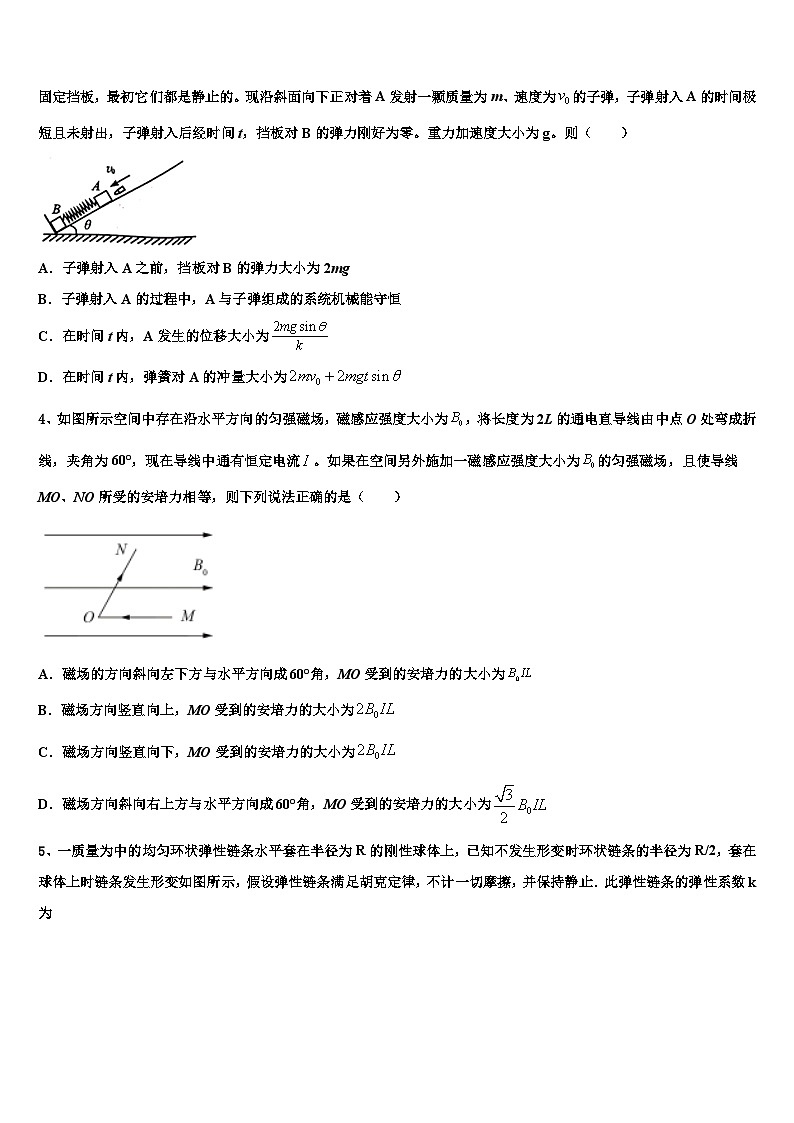 2026届浙江省杭州外国语学校高三下第一次测试物理试题含解析第2页