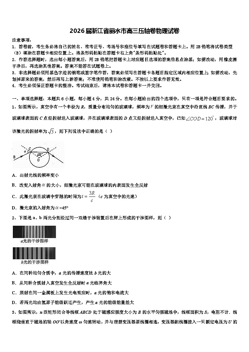 2026届浙江省丽水市高三压轴卷物理试卷含解析第1页