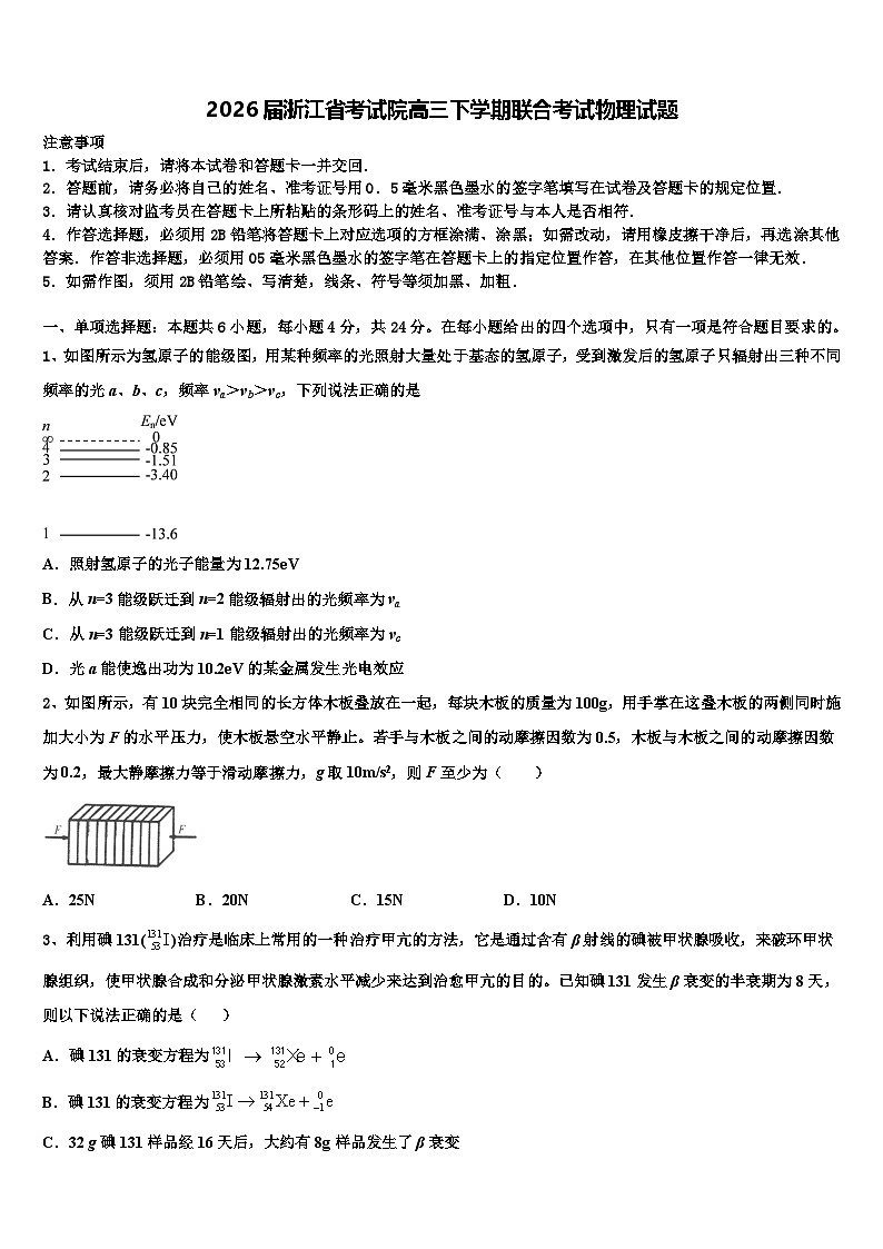 2026届浙江省考试院高三下学期联合考试物理试题含解析第1页
