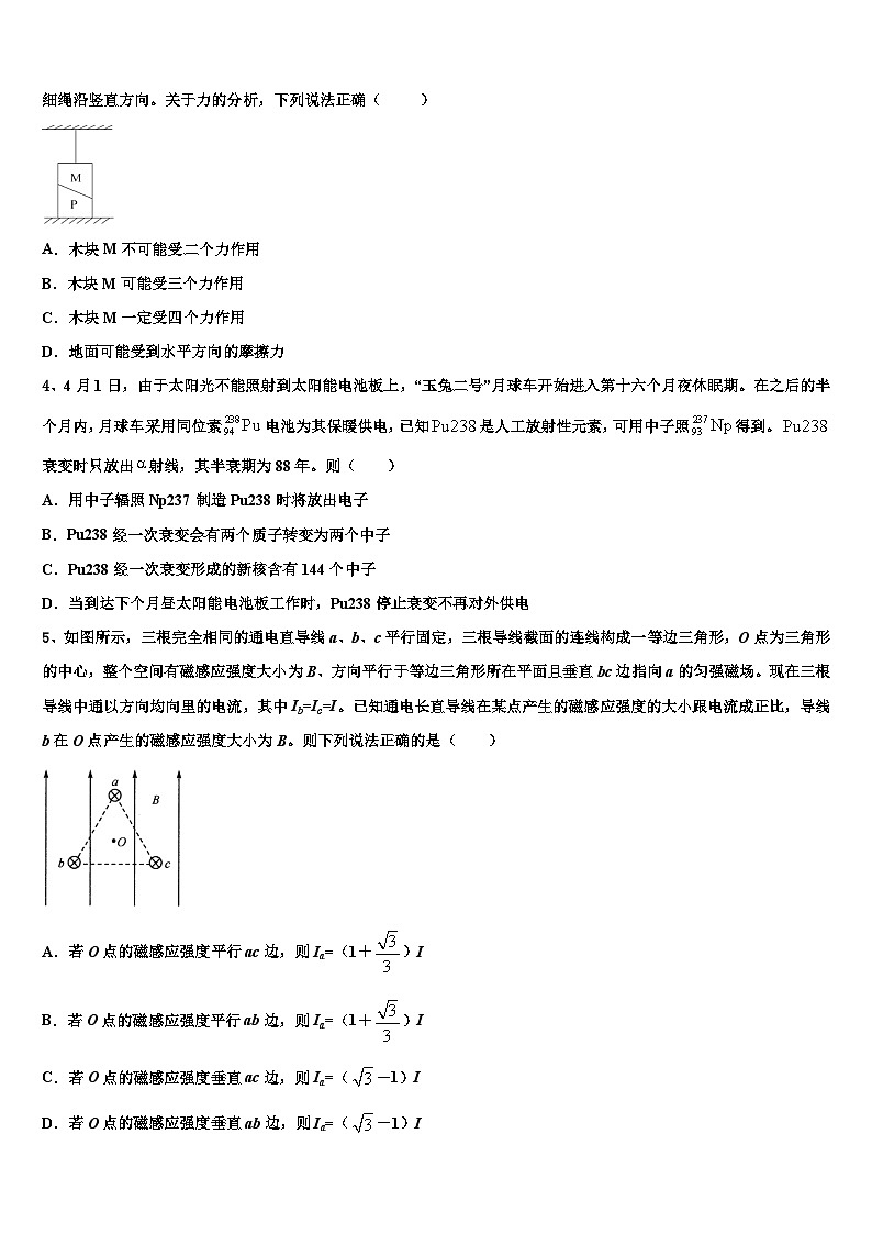 2026届中央民族大学附属中学高考物理五模试卷含解析第2页