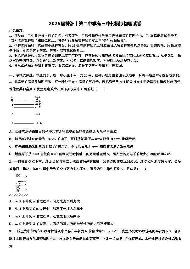 2026届株洲市第二中学高三冲刺模拟物理试卷含解析第1页
