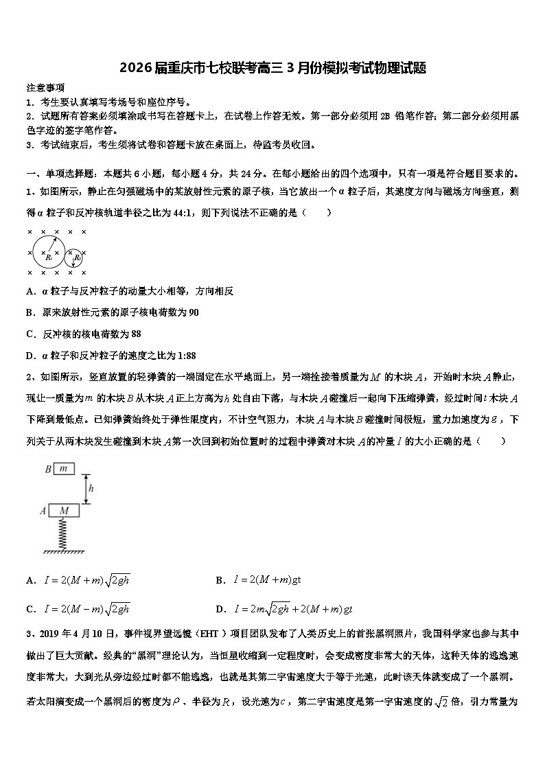 2026届重庆市七校联考高三3月份模拟考试物理试题含解析第1页