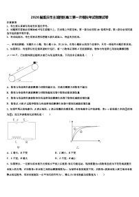 2026届重庆市主城四区高三第一次模拟考试物理试卷含解析