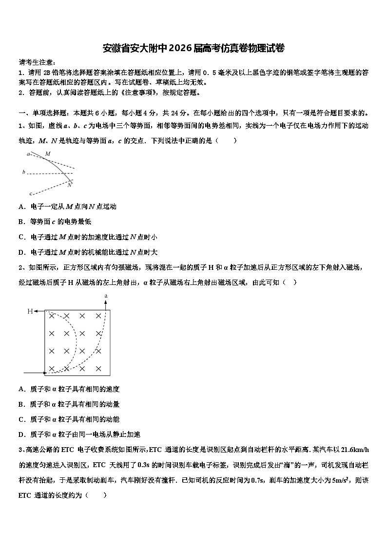 安徽省安大附中2026届高考仿真卷物理试卷含解析第1页
