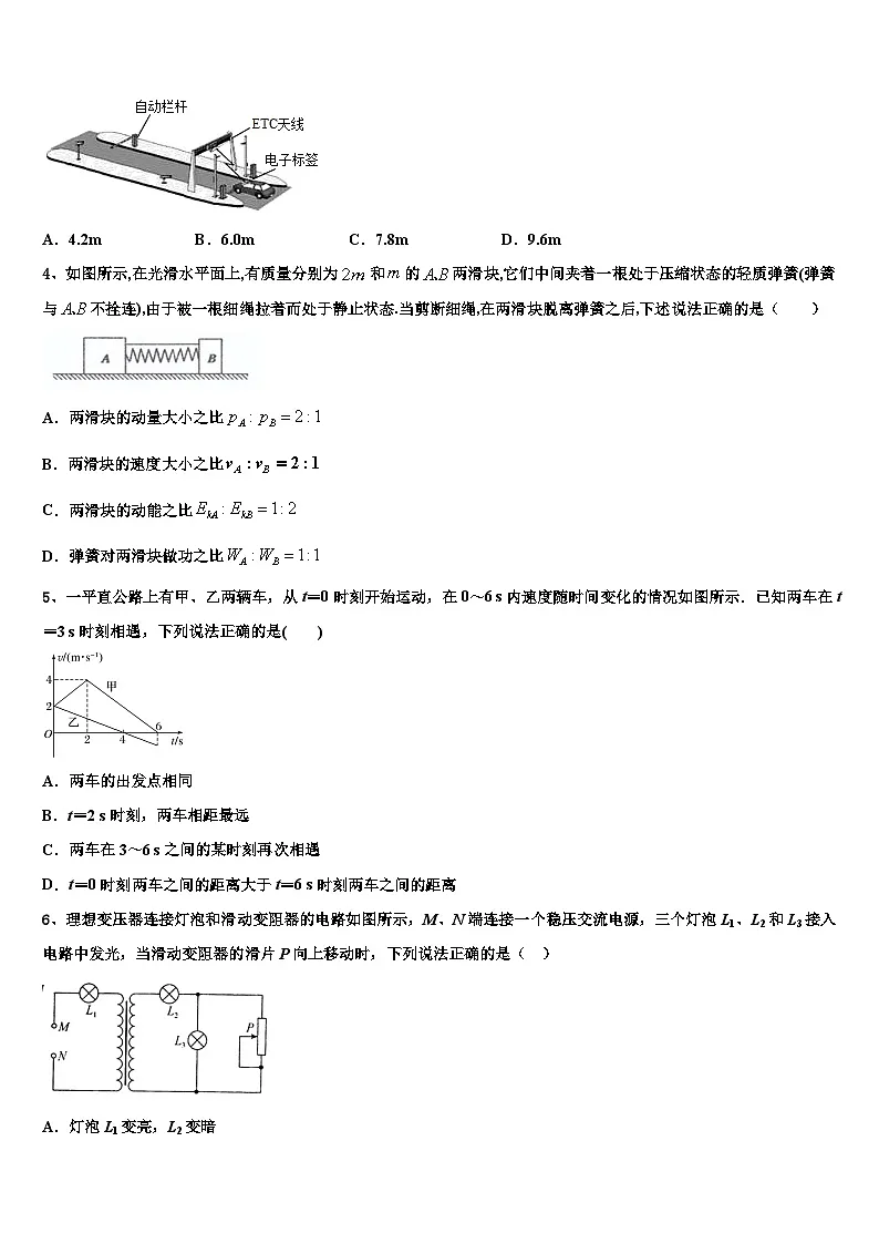 安徽省安大附中2026届高考仿真卷物理试卷含解析第2页