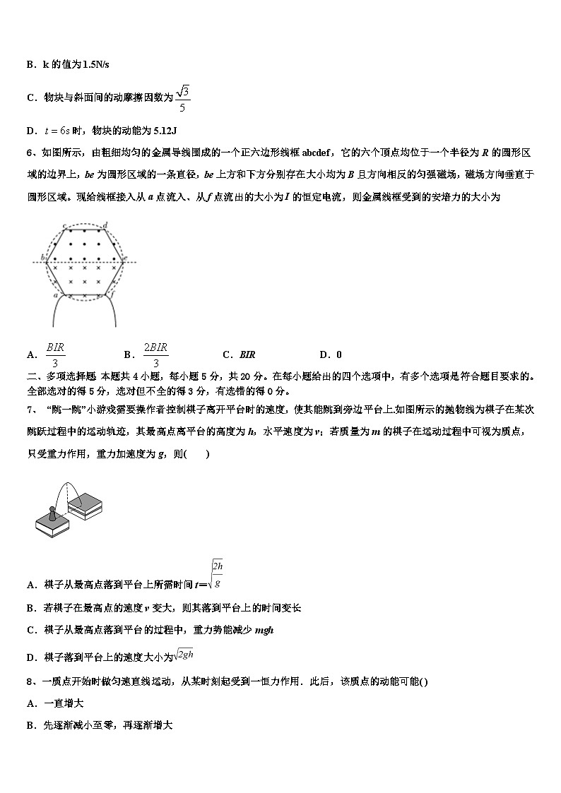 安徽省滁州市定远二中2026届高三压轴卷物理试卷含解析第3页