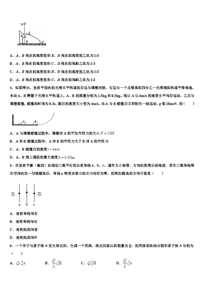 安徽省池州市江南中学2026届高考物理一模试卷含解析第2页