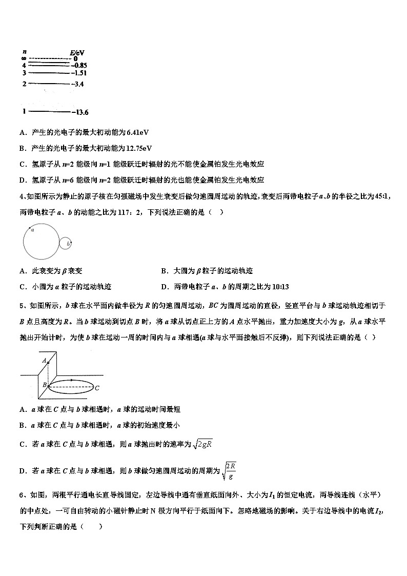 安徽省定远育才学校2026届高考物理一模试卷含解析第2页