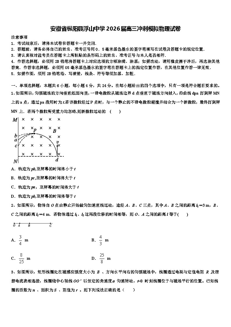 安徽省枞阳县浮山中学2026届高三冲刺模拟物理试卷含解析第1页