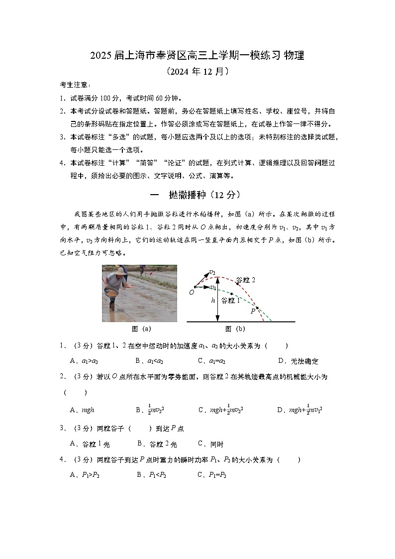 上海市奉贤区2024-2025学年高三上学期一模练习物理试题（含答案）第1页