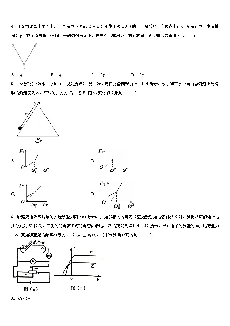 安徽省淮北师大学附属实验中学2026届高考适应性考试物理试卷含解析第2页