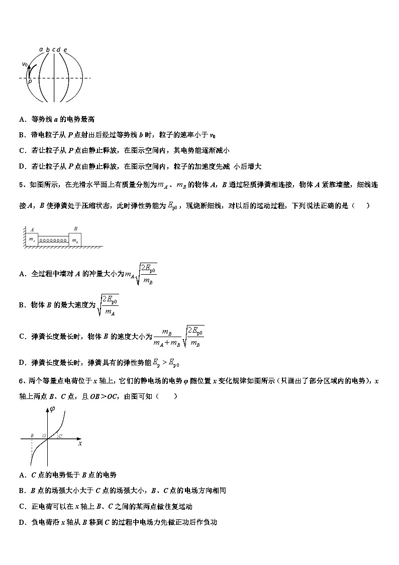 安徽省淮北市淮北师大附属实验中学2026届高考仿真卷物理试题含解析第2页