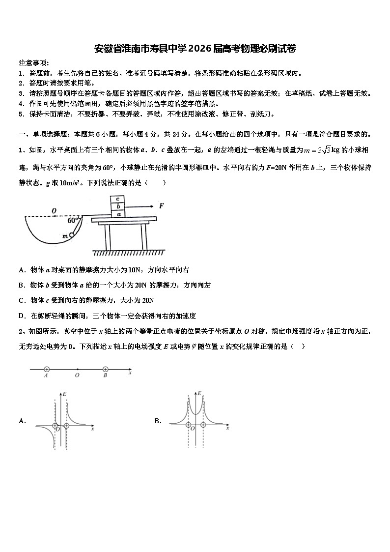 安徽省淮南市寿县中学2026届高考物理必刷试卷含解析第1页