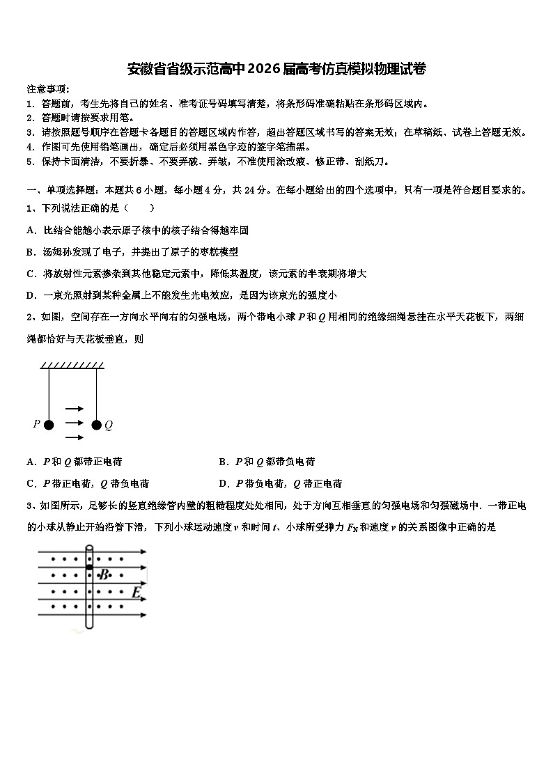 安徽省省级示范高中2026届高考仿真模拟物理试卷含解析第1页