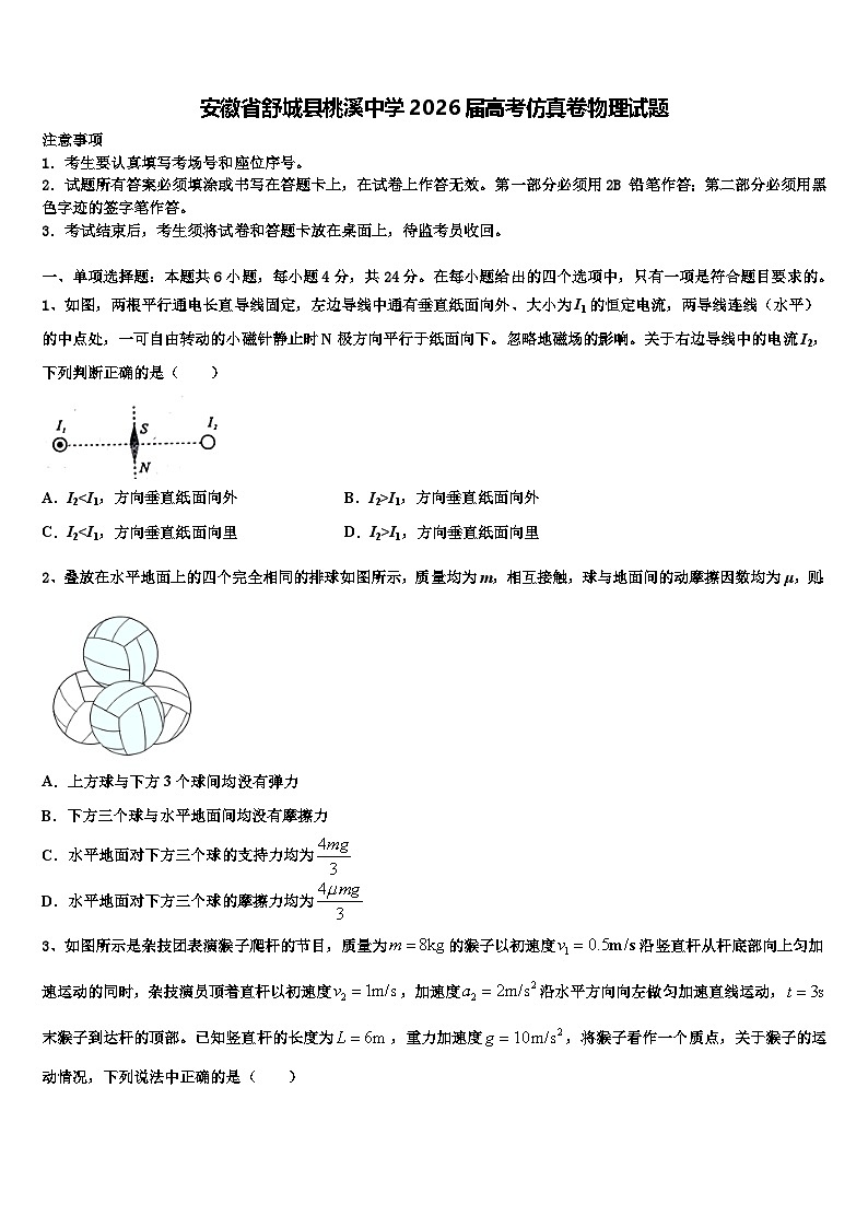 安徽省舒城县桃溪中学2026届高考仿真卷物理试题含解析第1页