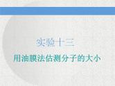 2021新课标版物理高考一轮复习课件 第十三章 实验十三 用油膜法估测分子的大小