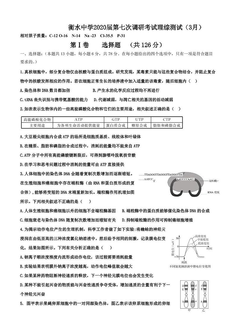 衡水2020高三下学期第七次调研考试 理综（PDF版）第1页