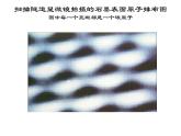 第一章《分子动理论的基本内容》课件