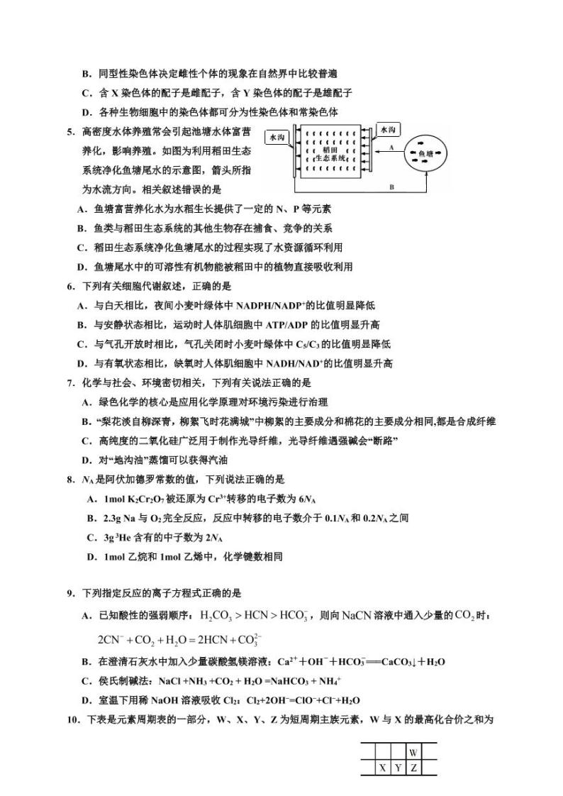 【理综】2020银川一中高三二模（A4） 试卷02