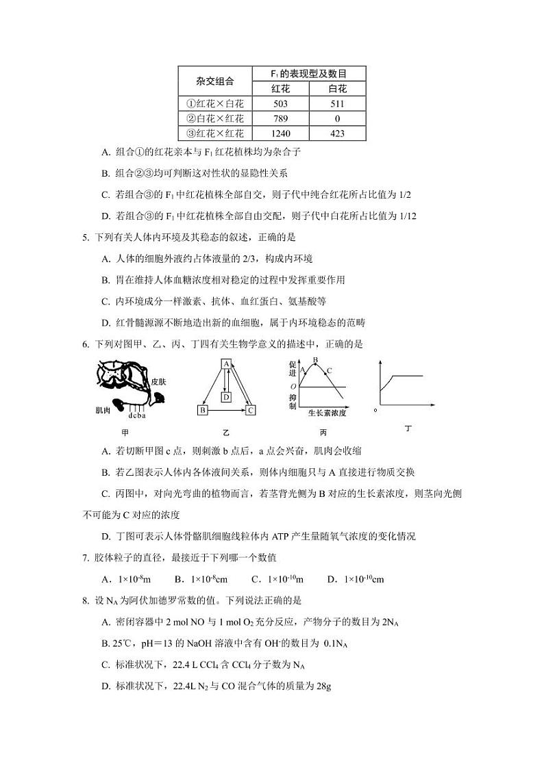【理综】2020全国大联考4月联考（A4） 试卷02