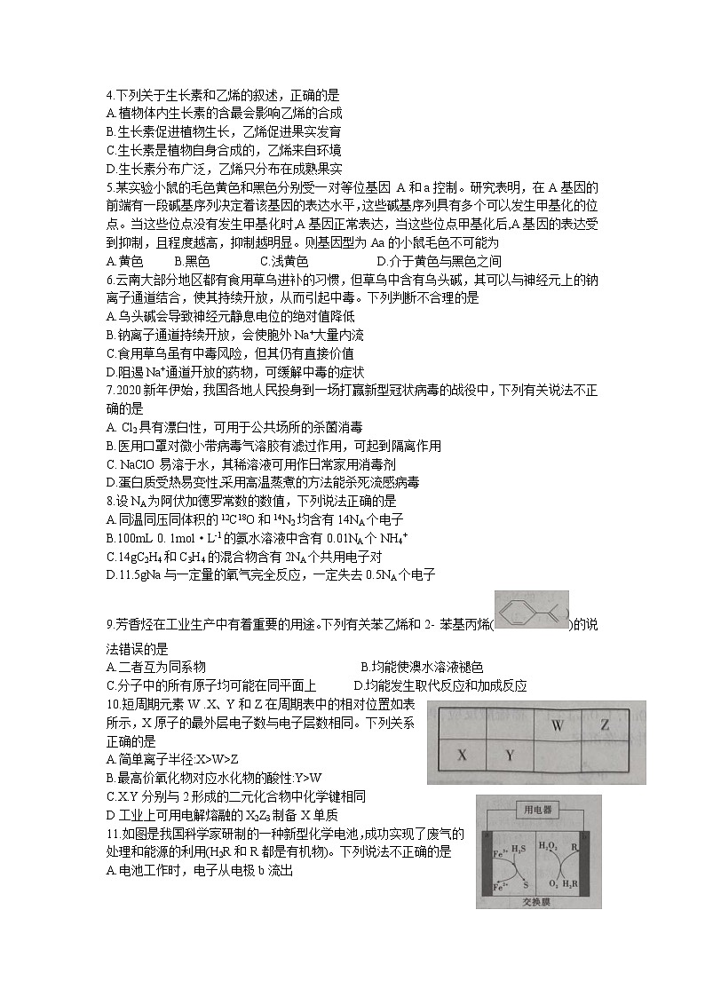 安徽省皖江名校联盟2020届高三第六次联考理综试题（Word版含答案 原卷图片版）02