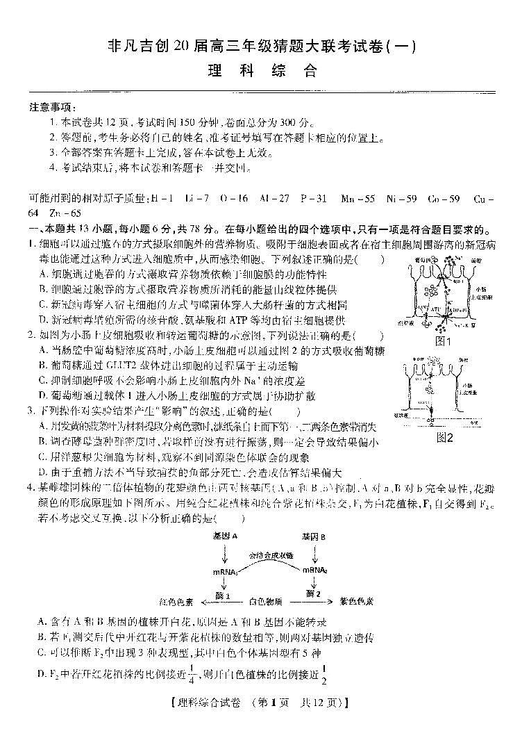 非凡吉创20届高三年级猜题大联考试卷（一）-理综（PDF版有答案）01