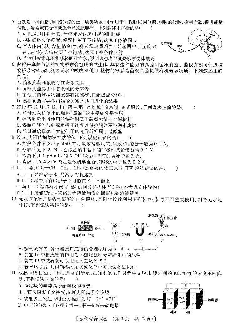 非凡吉创20届高三年级猜题大联考试卷（一）-理综（PDF版有答案）02