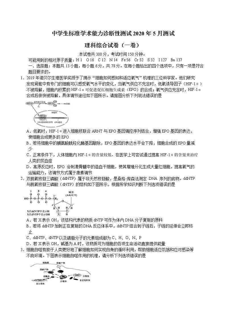 中学生标准学术能力诊断性测试2020年5月测试理综试题 word第1页