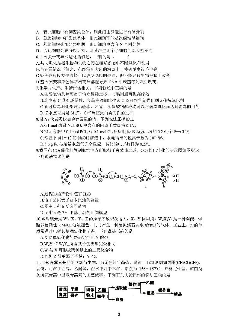 四川省成都七中2020届高三理科综合5月8日考试试卷（图片版含答案）02
