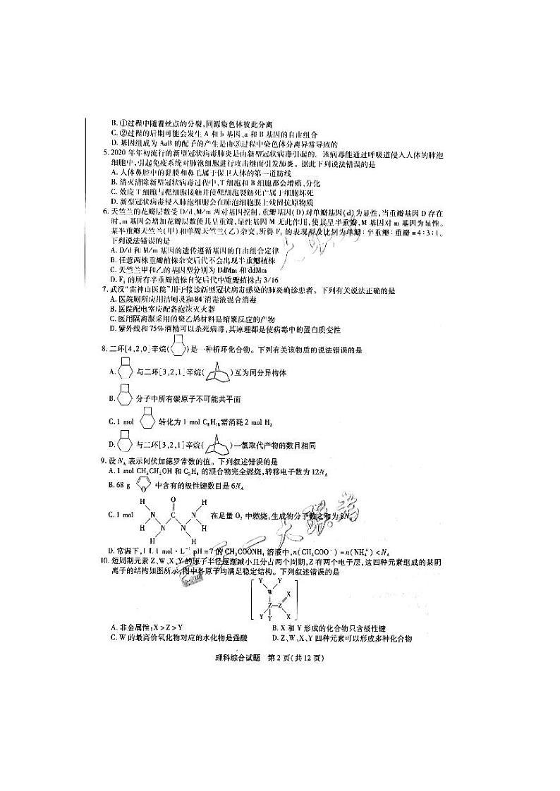 天一大联考皖豫联盟2020届高三第三次考试理综试卷第2页