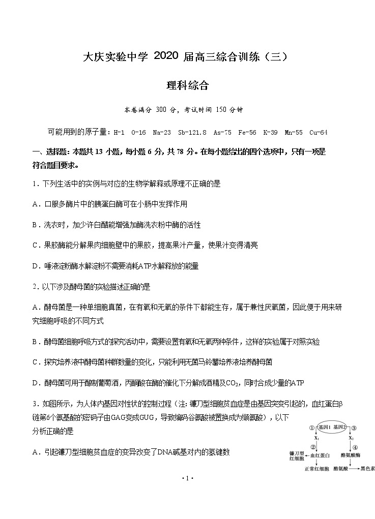 黑龙江省大庆实验中学2020届高三综合训练（三）理科综合01