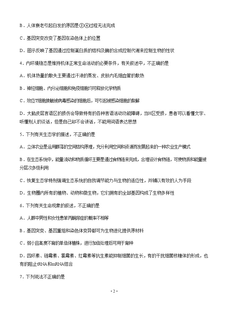 黑龙江省大庆实验中学2020届高三综合训练（三）理科综合02