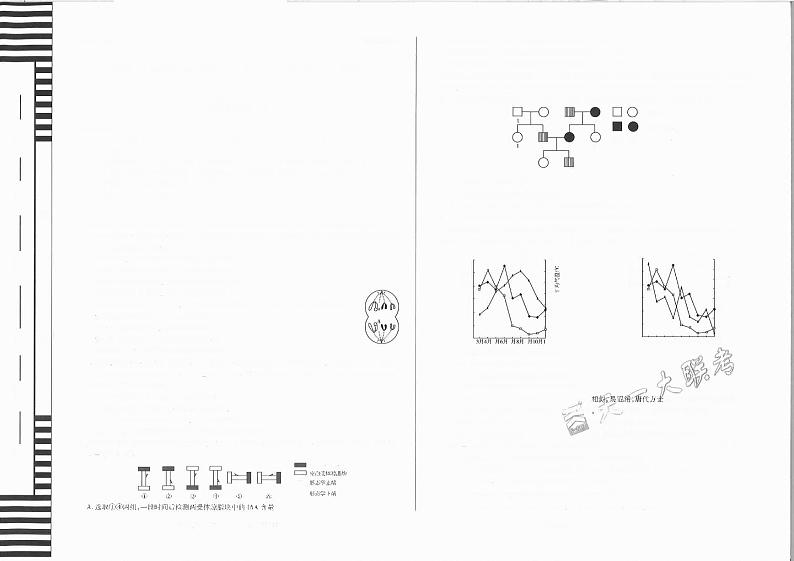 【2020】天一《临考密押点睛卷》（理科）理综B01