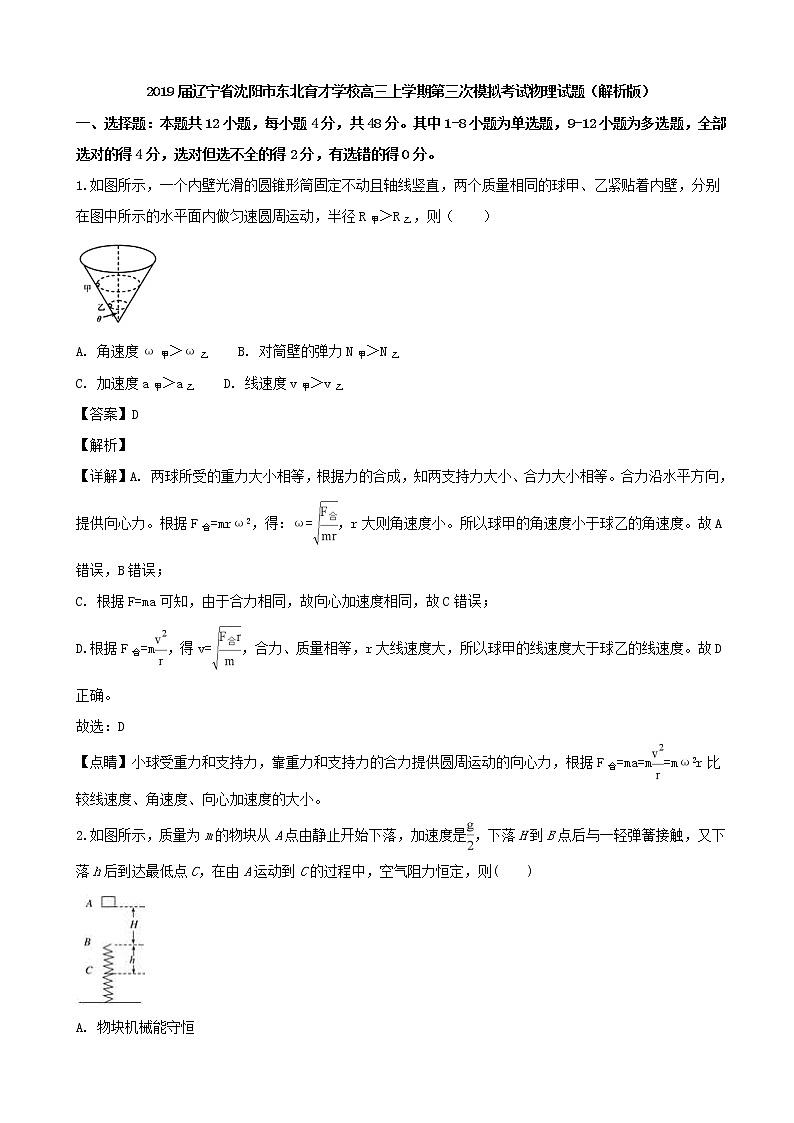 2019届辽宁省沈阳市东北育才学校高三上学期第三次模拟考试物理试题（解析版）01