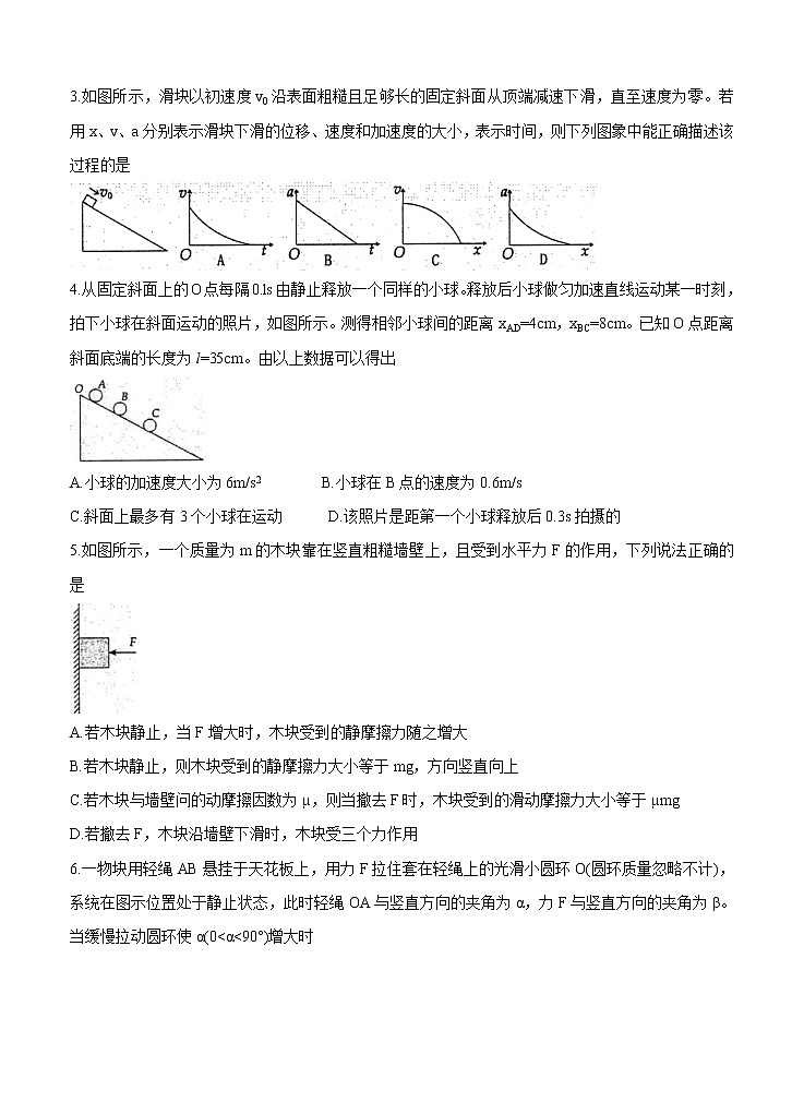 河南省洛阳市2021届高三上学期期中考试 物理（含答案）02