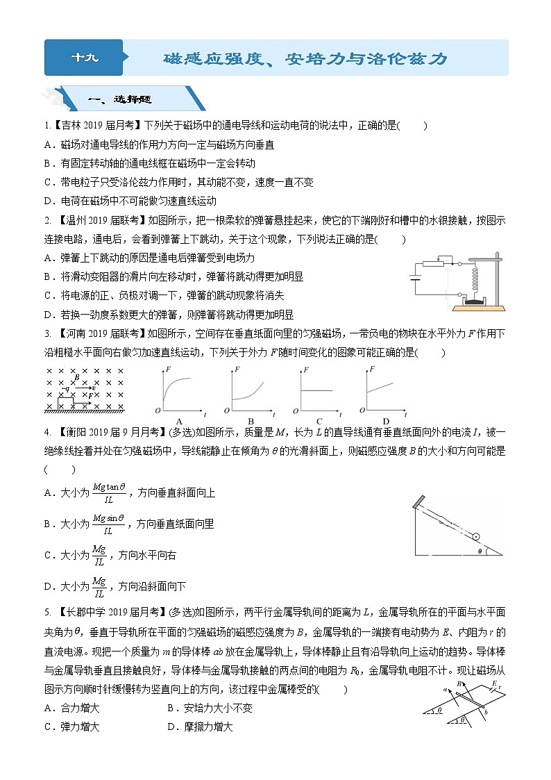 2019高考物理二轮小题狂做专练19 磁感应强度、安培力与洛伦兹力 （含解析）01
