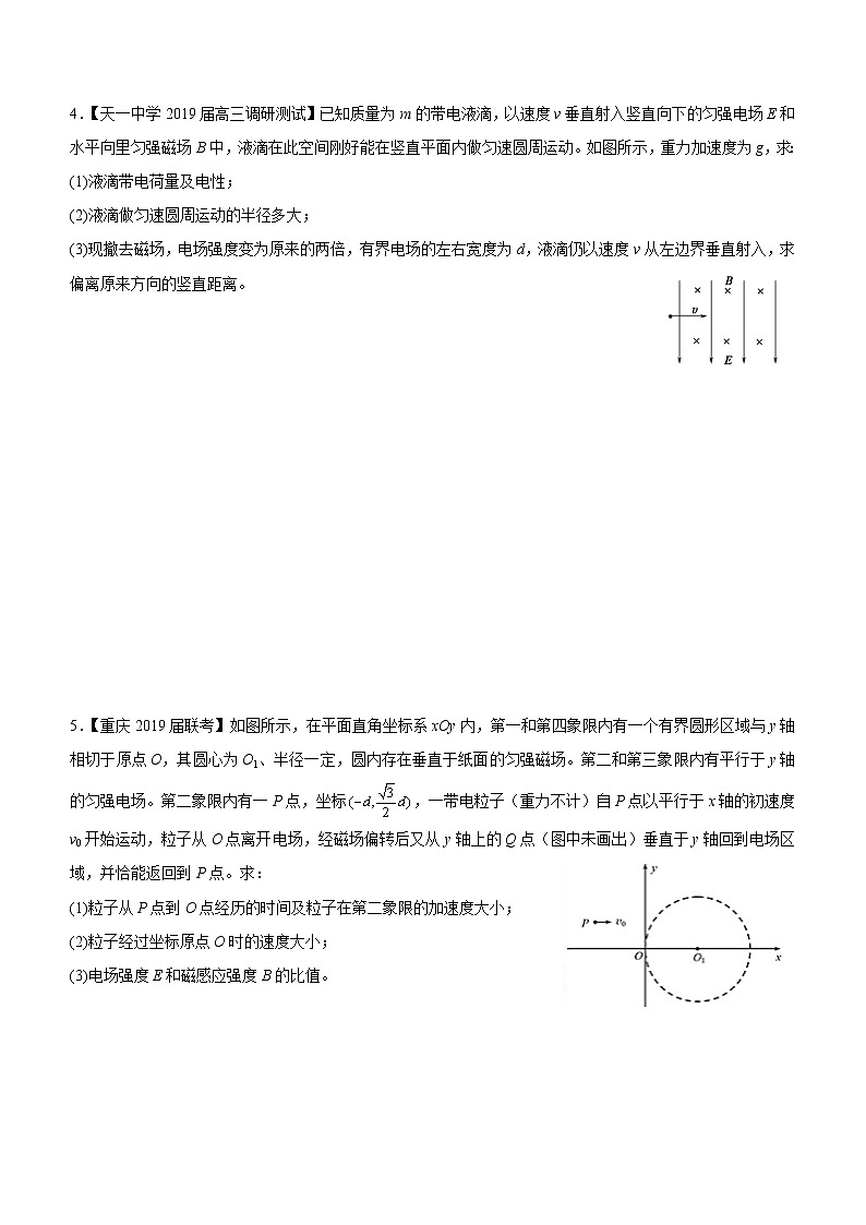 2019高考物理二轮小题狂做专练21  带电粒子在组合场、复合场中的运动 （含解析）02