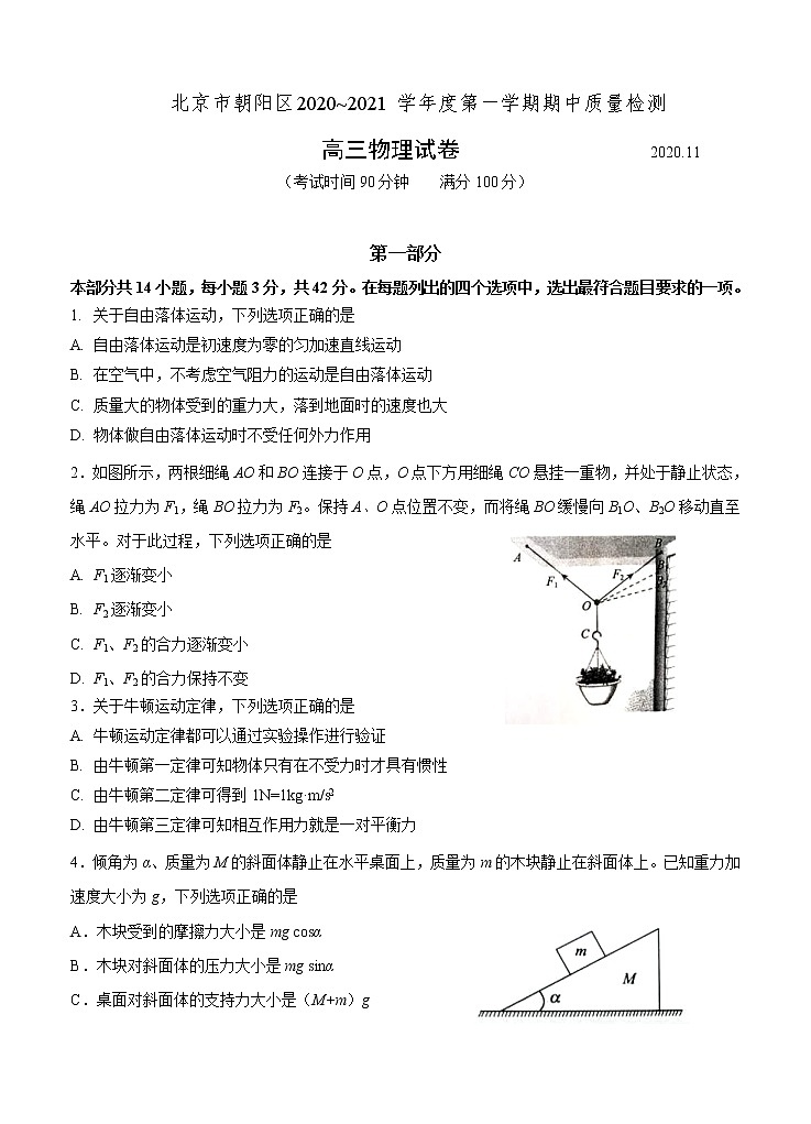 北京市朝阳区2021届高三上学期期中考试 物理(含答案)01