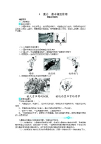 高中物理人教版 (新课标)必修11 重力 基本相互作用优秀学案