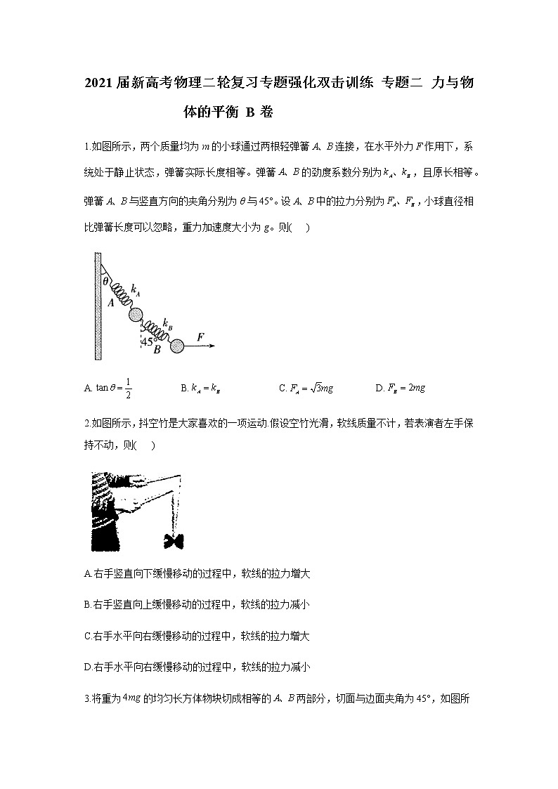 2021届新高考物理二轮复习专题强化双击训练 专题二 力与物体的平衡 B卷01