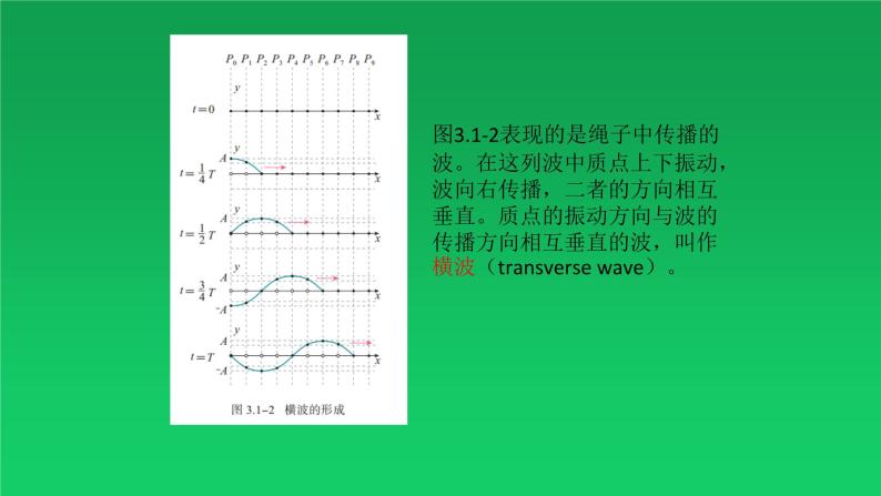 第三章　机械波  波的形成2  PPT课件08