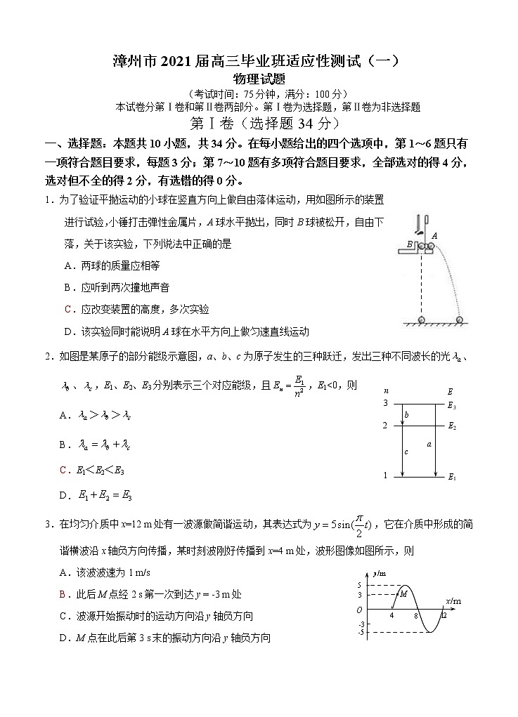 福建省漳州市2021届高三毕业班适应性测试（一）物理 (含答案)01