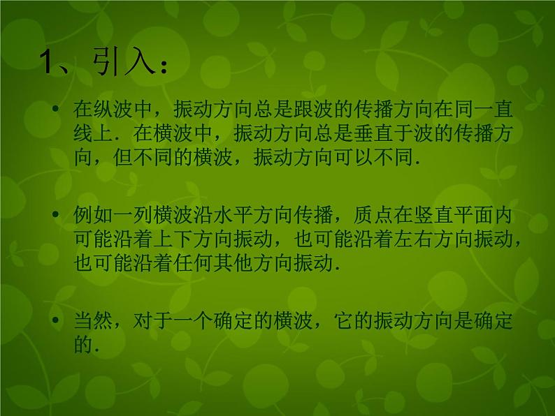 高中物理 13.6光的偏振课件 新人教版选修3-402