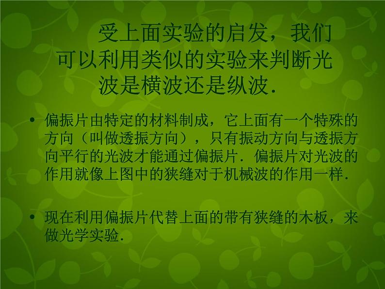 高中物理 13.6光的偏振课件 新人教版选修3-405