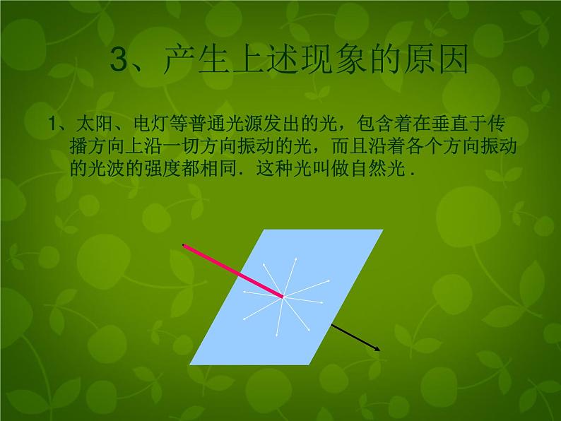 高中物理 13.6光的偏振课件 新人教版选修3-408