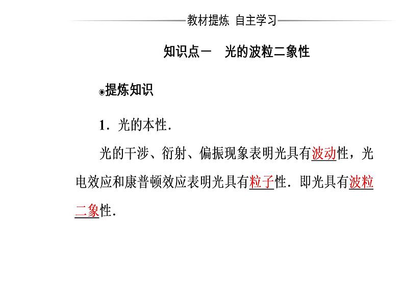 人教版物理选修3-5课件 第十七章　波粒二象性 3粒子的波动性04