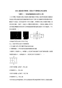 2021届新高考物理二轮复习专题强化双击训练 专题十二 电场和磁场综合应用 B卷