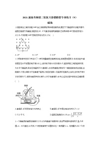 2021届高考物理二轮复习易错题型专项练习（9）磁场