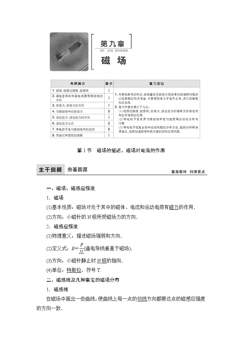 2021高考物理大一轮复习领航教学案：第九章　磁场 Word版含解析01