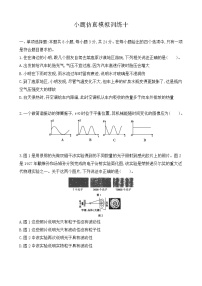 小题仿真模拟训练10-2021届高三物理二轮复习新高考版（含解析）